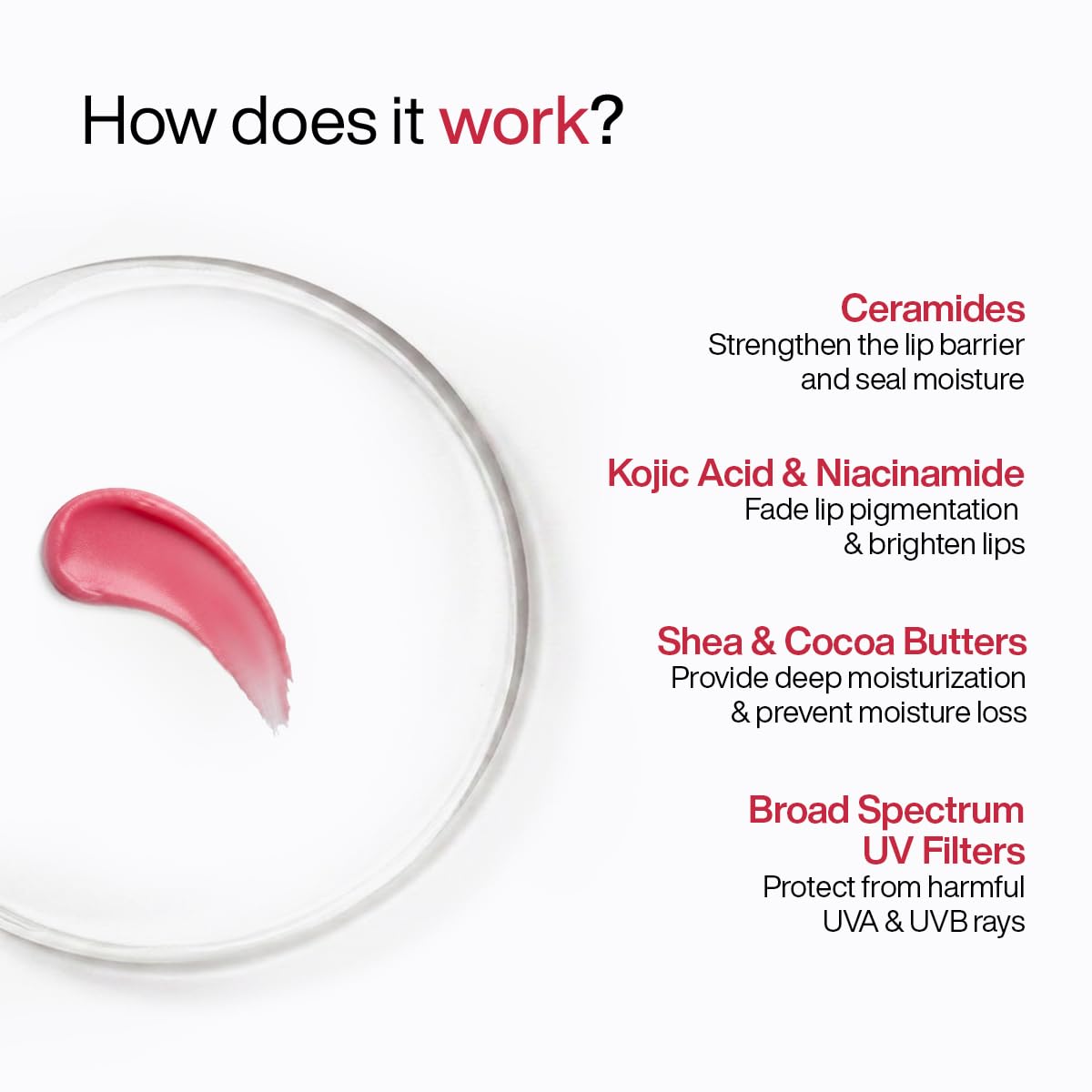 WishCare Ceramide Tinted Lip Balm with SPF 50 PA+++ 5g